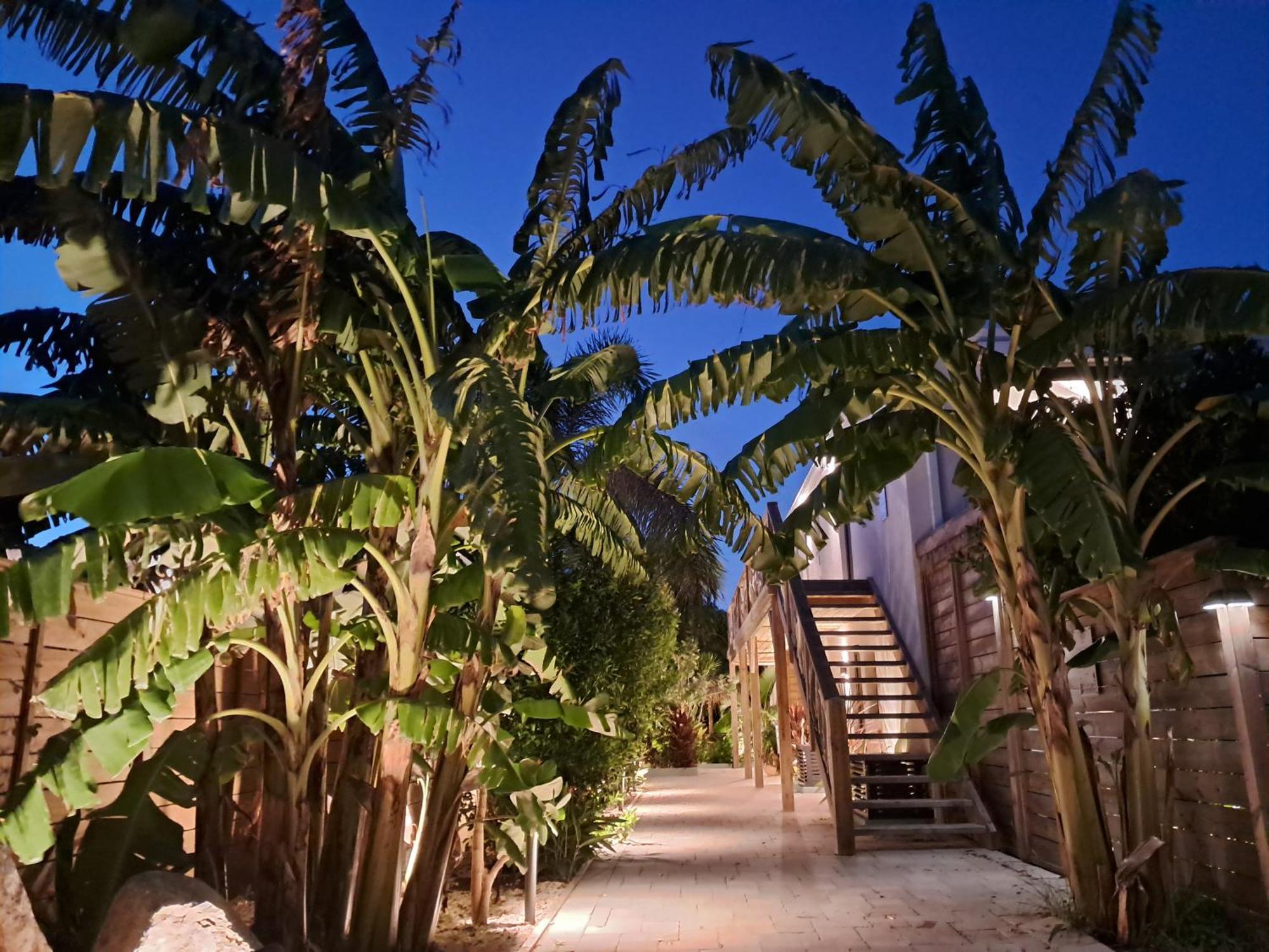 The Forest - Saint Martin 4 Etoiles Cul de Sac ภายนอก รูปภาพ